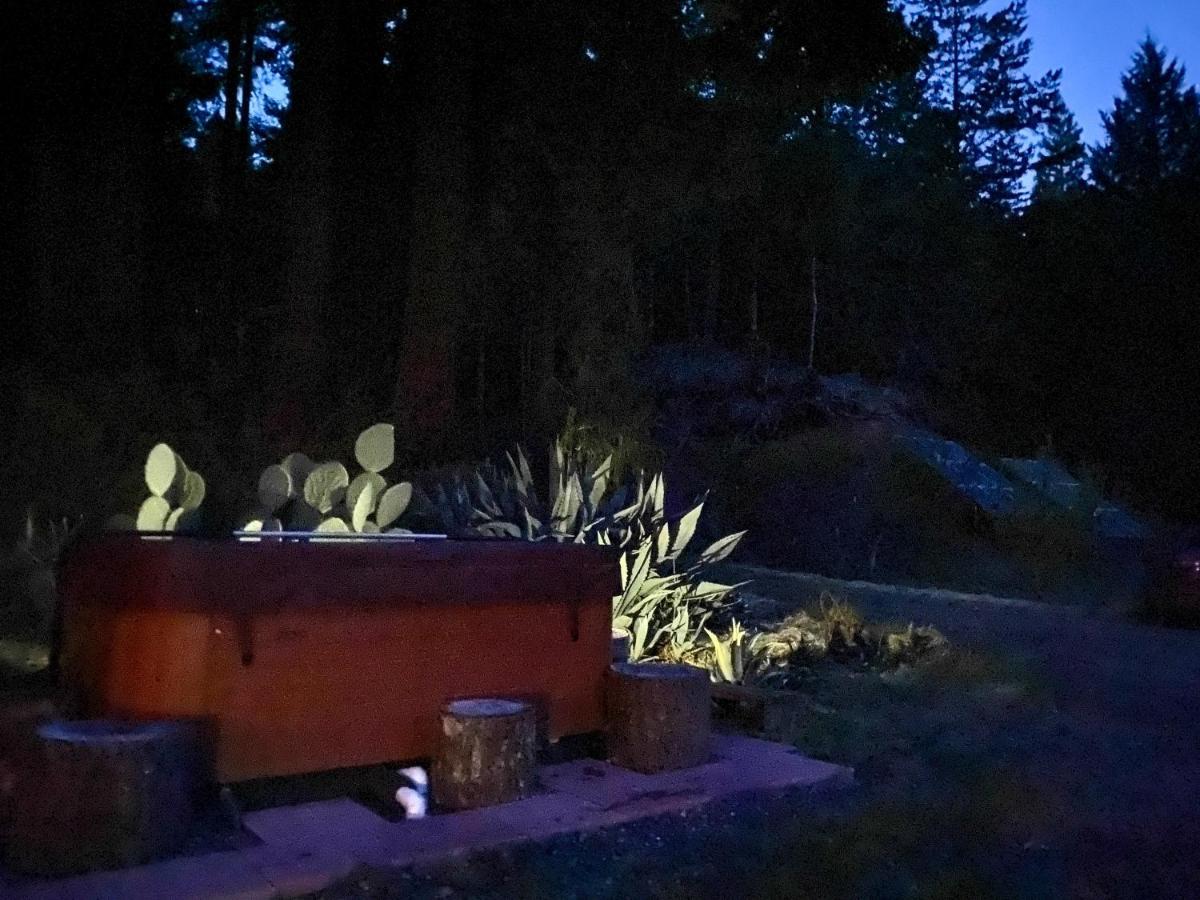 Готель Glamping In The Redwoods With A Hot Tub! Ґарбервілл Екстер'єр фото