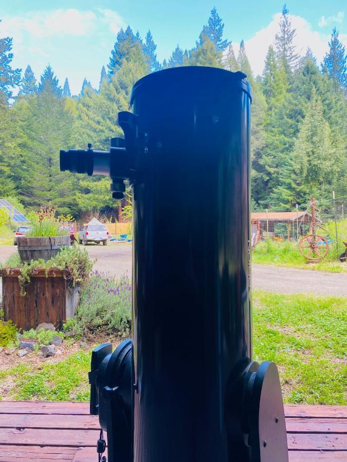 Готель Glamping In The Redwoods With A Hot Tub! Ґарбервілл Екстер'єр фото